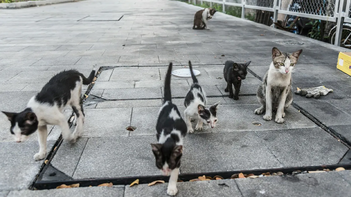 39 Cultural Things People Thought Were Completely Normal Until They Visited Other Countries