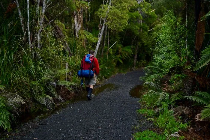 “Footsteps Outside My Tent”: 43 Terrifying Experiences People Have Had In The Woods