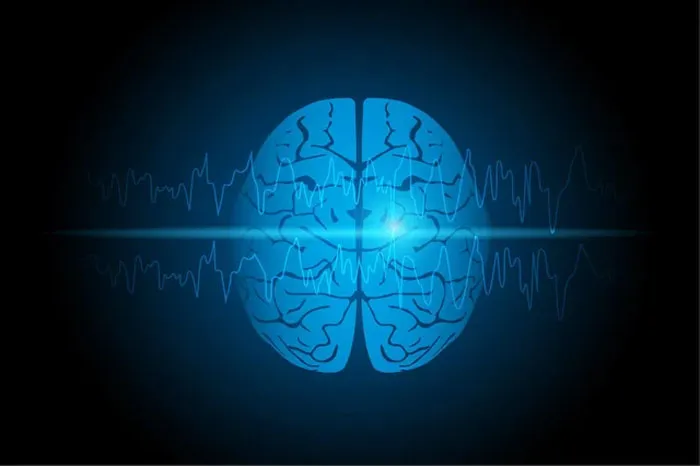 When Humans Sleep, Certain Proteins In The Brain Literally Shrink Neurons To Allow Cerebrospinal Fluid To Wash Away Waste — A “Nighttime Cleaning System” Only Active During Deep Sleep