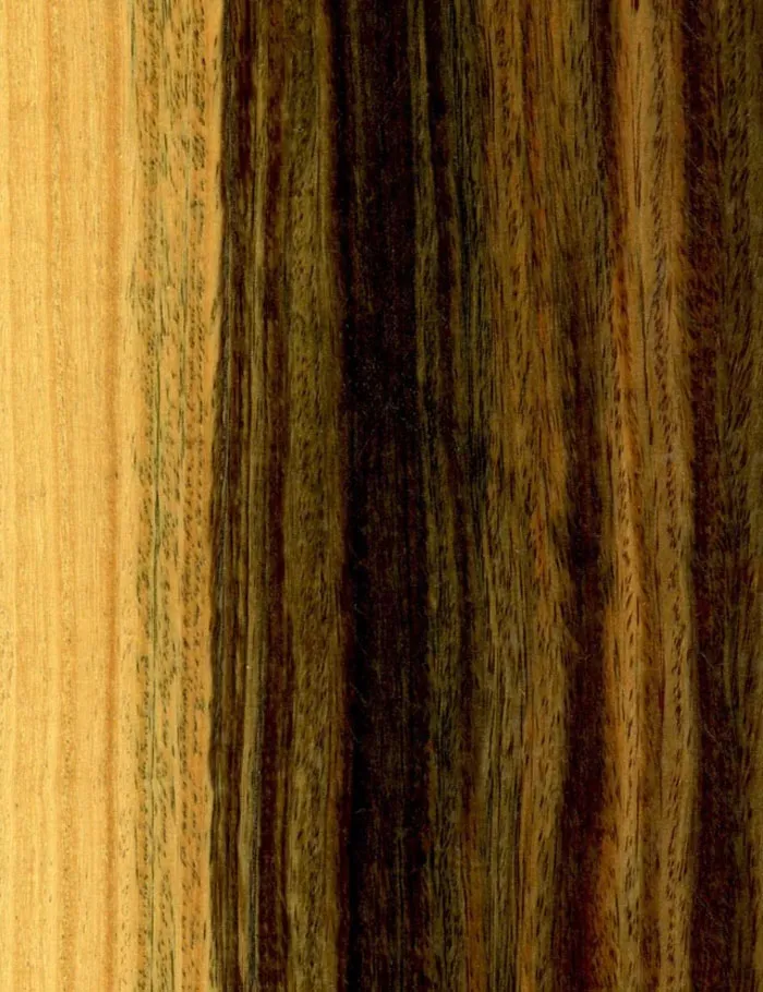 There Is A Rare Type Of Very Hard Wood Called ‘Lignum Vitae’