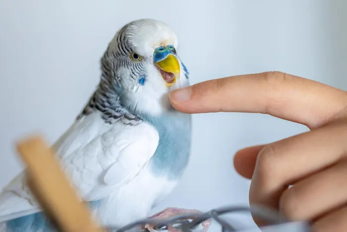 39 Surprisingly Wholesome, And Sometimes Weird, Family Traditions People Still Follow