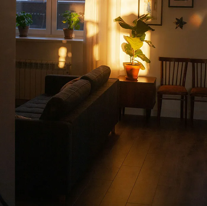 Creo que mi apartamento cambia mientras duermo