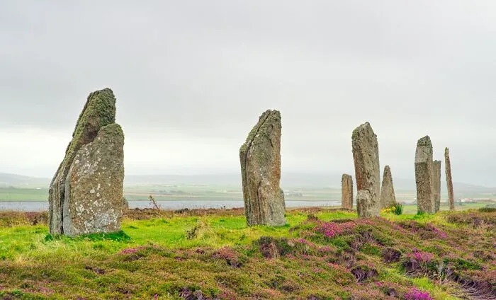 47 Times Archaeologists Dug Up Surprising Finds That Should Have Been Major News