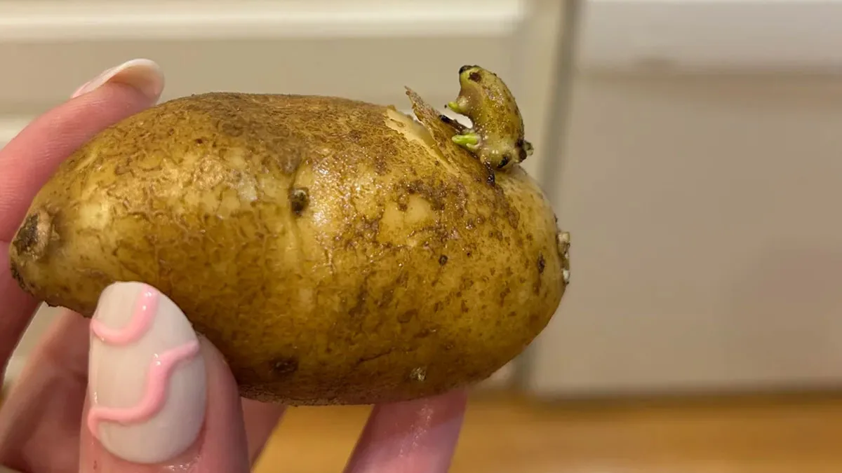 81 People Who Experienced Strange Things And Have No Logical Way To Explain Them (New Pics)