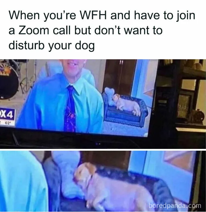 61 White-Collar Memes That Are Worth Scrolling Through During Your Break