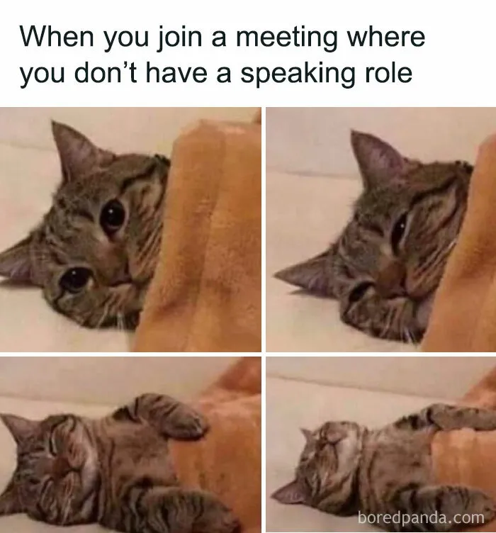61 White-Collar Memes That Are Worth Scrolling Through During Your Break
