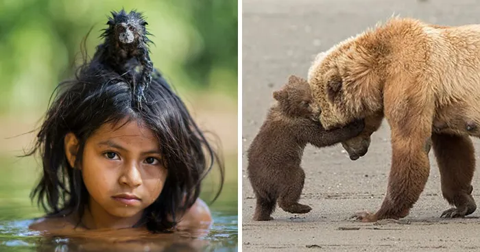 25 Fotos impresionantes que triunfaron en el concurso de Fotógrafo de Fauna salvaje del Año