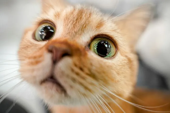 42 Hilariously Honest Reasons People Instantly Knew Romance Was Off The Table