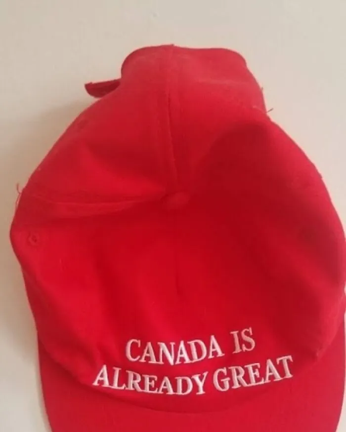20 Divertidos y acertados memes que resumen Canadá a la perfección