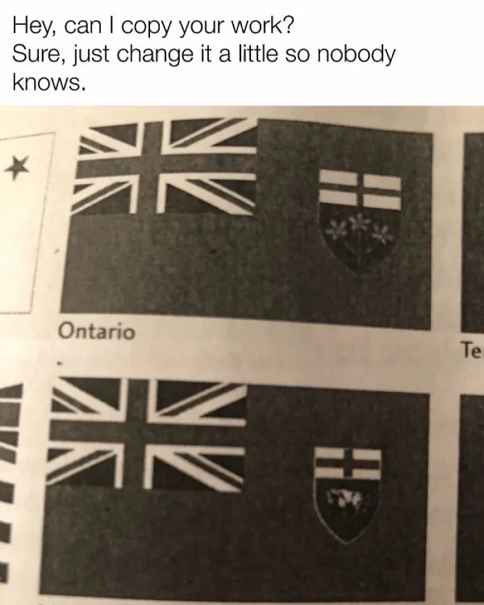 Meme showing two similar flags labeled Ontario with caption about copying work, in a collection of Canada memes.