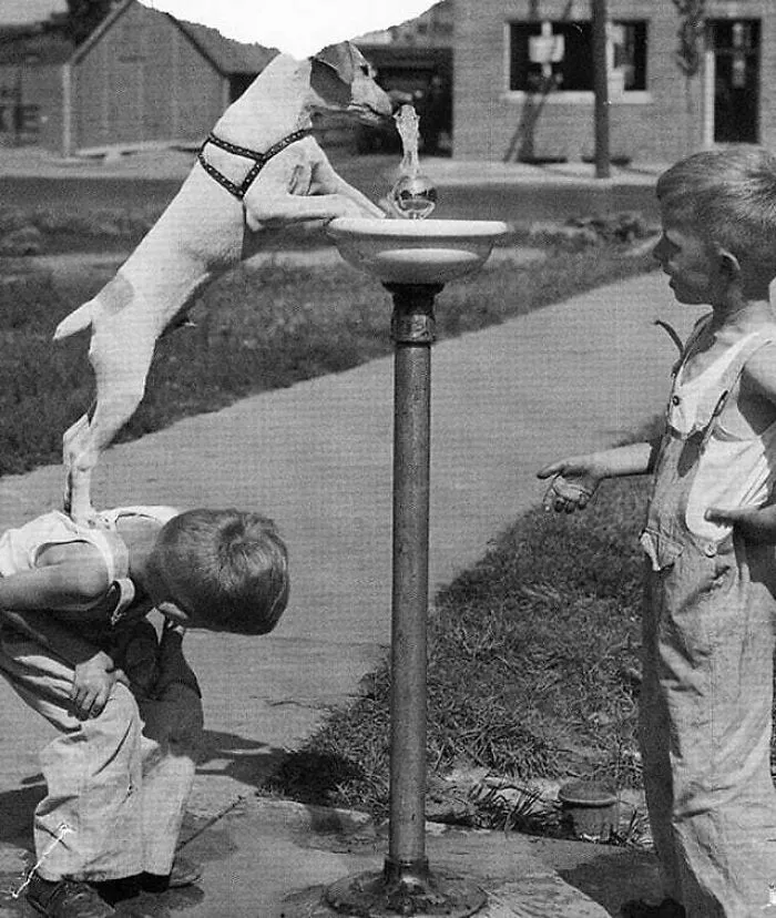 61 Fascinating Photos From The Past That Are Worth Seeing At Least Once