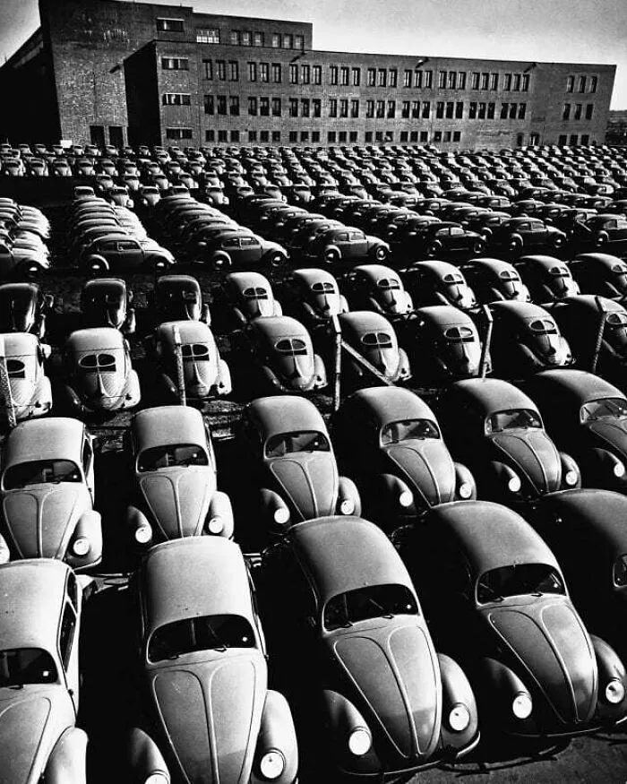 61 Fascinating Photos From The Past That Are Worth Seeing At Least Once