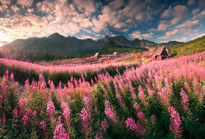 42 Breathtaking Nature Photos By Karol Nienartowicz That Showcase The Beauty Of Poland