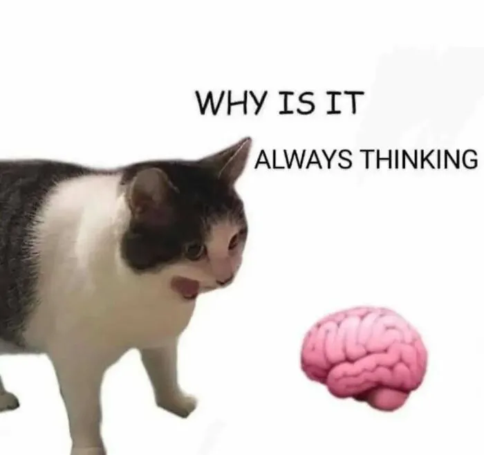 50 Random, Funny Memes You Might Want To Share With Your Friends