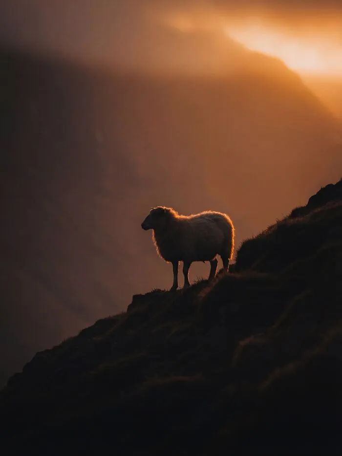 This Artist Uses A High-Precision AI Production System To Create Stunning Nature Scenes That Look Like Real Photos (40 Pics)