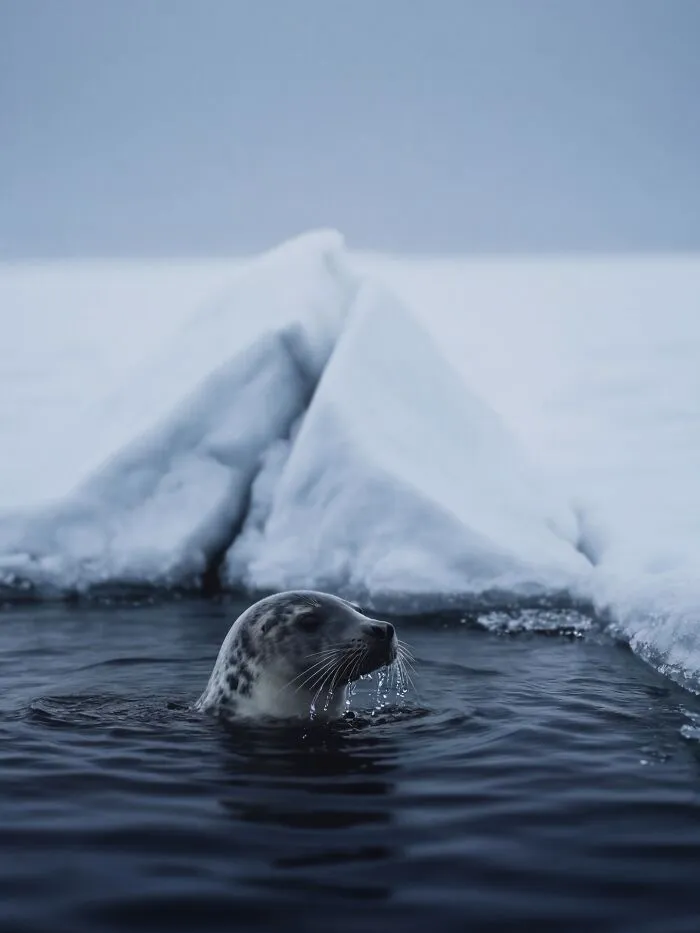 This Artist Uses A High-Precision AI Production System To Create Stunning Nature Scenes That Look Like Real Photos (40 Pics)