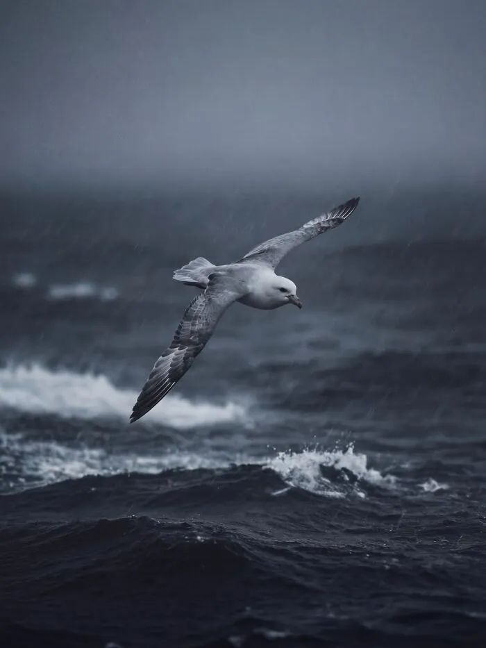 This Artist Uses A High-Precision AI Production System To Create Stunning Nature Scenes That Look Like Real Photos (40 Pics)