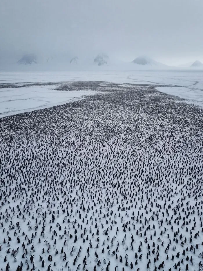 This Artist Uses A High-Precision AI Production System To Create Stunning Nature Scenes That Look Like Real Photos (40 Pics)