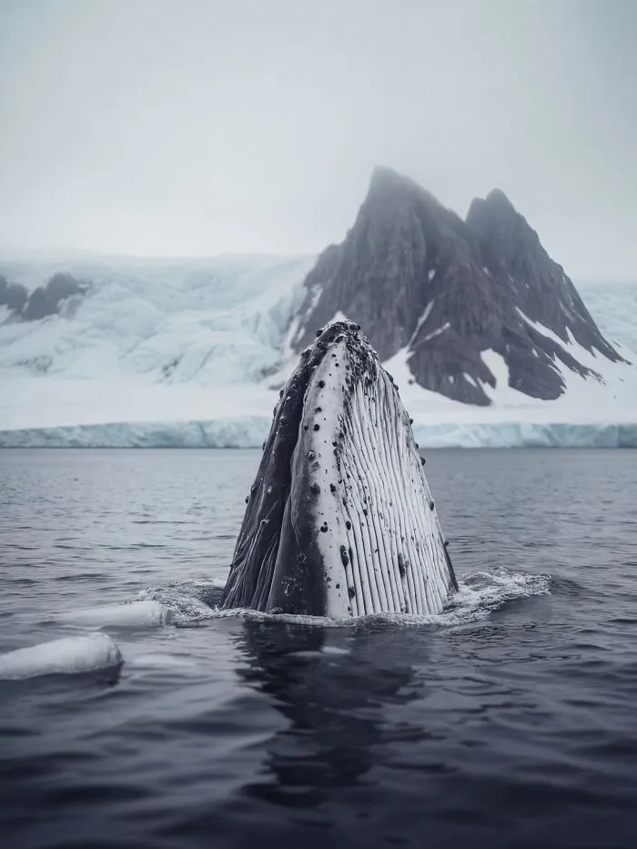 This Artist Uses A High-Precision AI Production System To Create Stunning Nature Scenes That Look Like Real Photos (40 Pics)