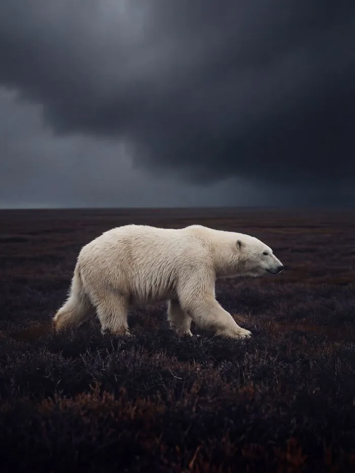 This Artist Uses A High-Precision AI Production System To Create Stunning Nature Scenes That Look Like Real Photos (40 Pics)