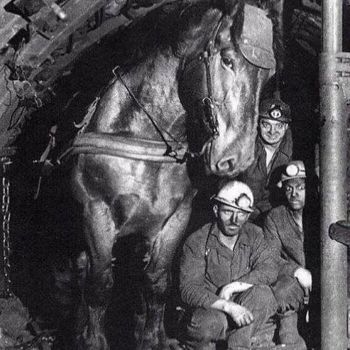 61 Fascinating Photos From The Past That Are Worth Seeing At Least Once
