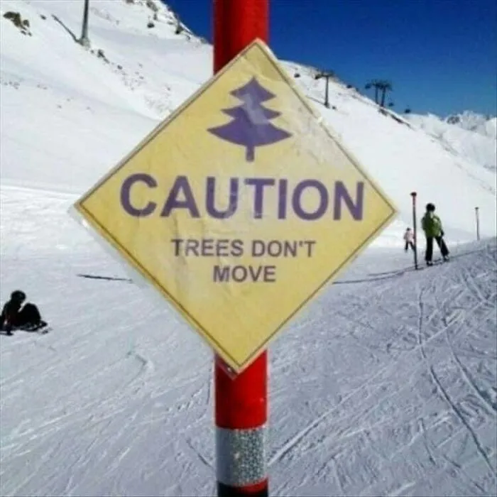 20 Divertidos y acertados memes que resumen Canadá a la perfección