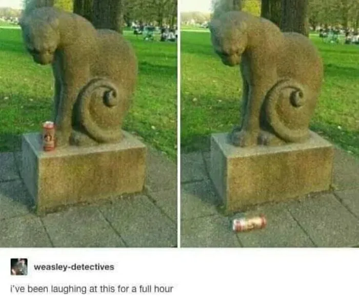 81 Times Cats Were So Ridiculous, Silly, Or Dramatic That They Had To Become Memes