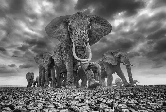 Black&white, 2nd Place: Time Will Tell By Christopher Fallows