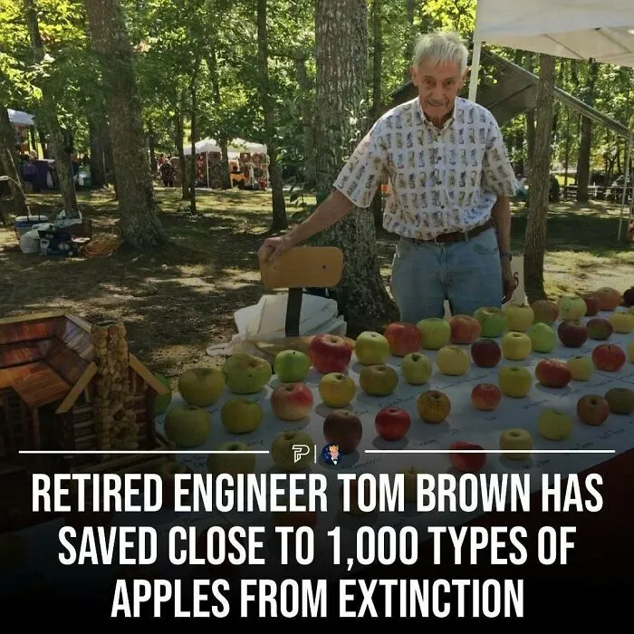 71 Times Dudes Were Absolute Green Flags In The Most Wholesome Way (New Pics)