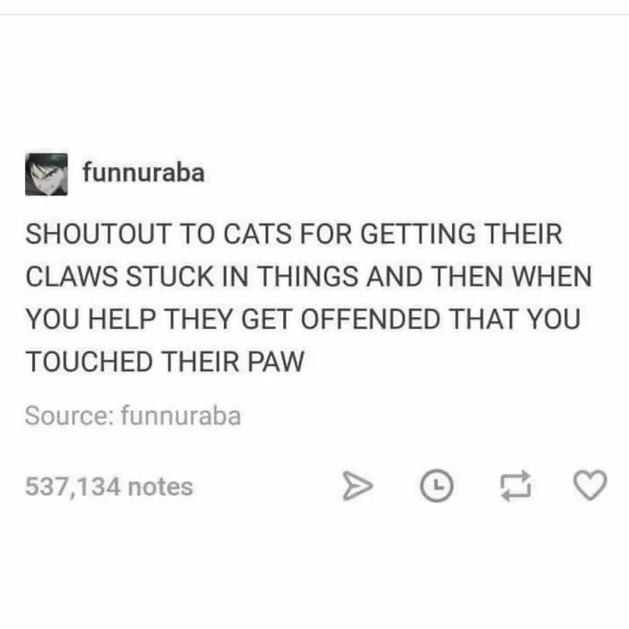 81 Times Cats Were So Ridiculous, Silly, Or Dramatic That They Had To Become Memes