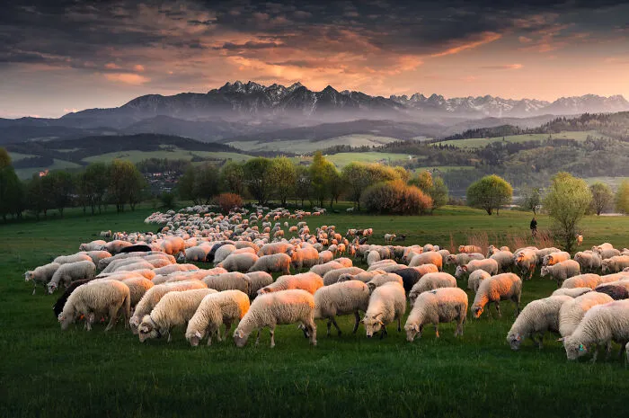 42 Breathtaking Nature Photos By Karol Nienartowicz That Showcase The Beauty Of Poland