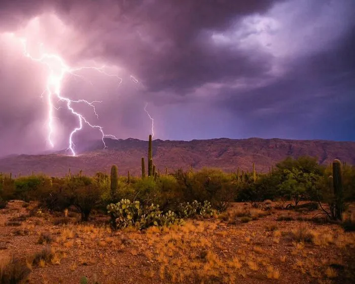 This Is A Strong Contender For My Best Lightning Shot Of The Year