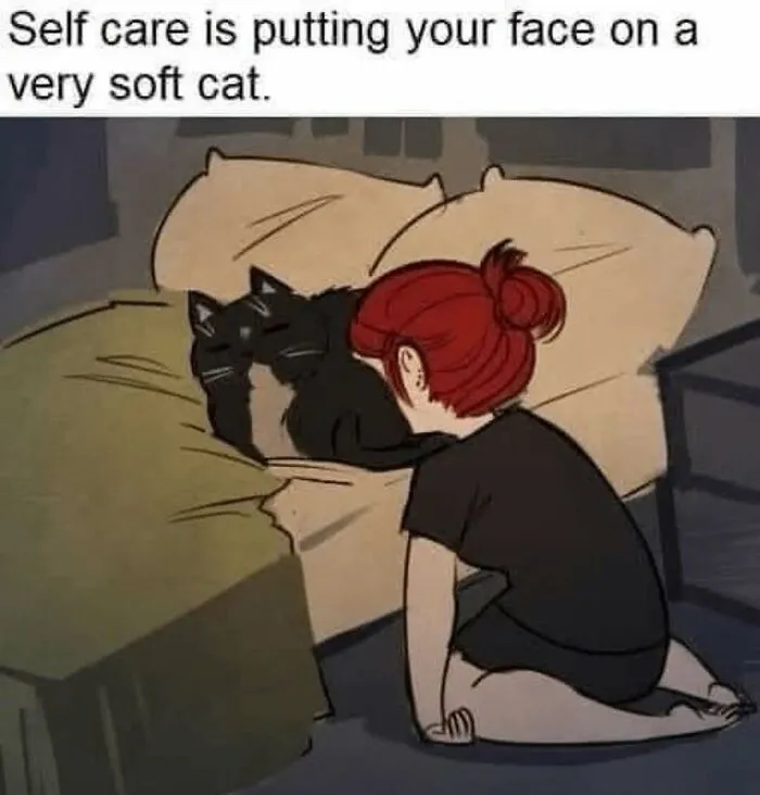 81 Times Cats Were So Ridiculous, Silly, Or Dramatic That They Had To Become Memes