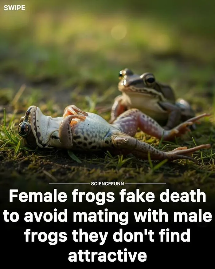 83 Hilarious Science Memes That React Faster Than Diet Coke And Mentos’ Reaction (New Pics)