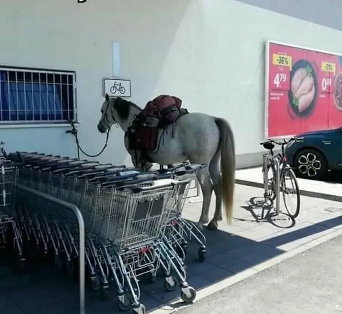 79 Cursed Photos That Make Absolutely Zero Sense But Live Rent‑Free In Our Brains