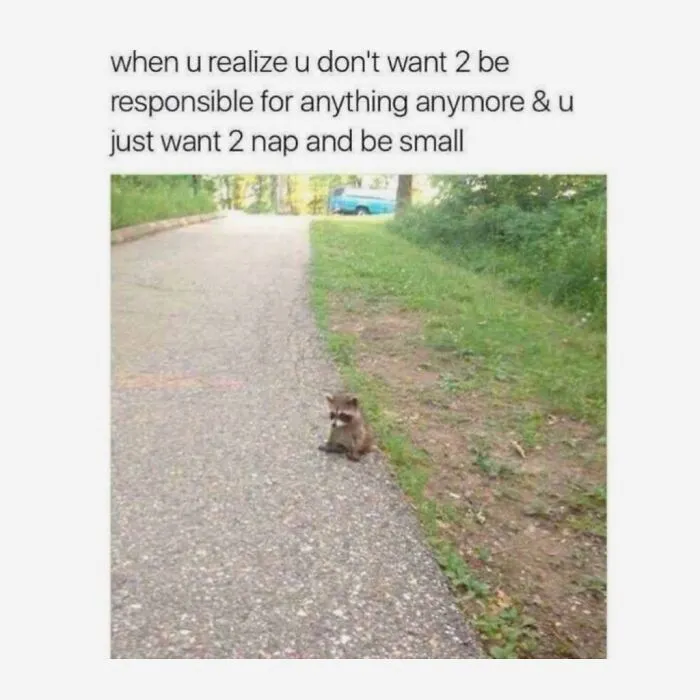125 Amusing Posts From Across The Internet For Your Viewing Enjoyment