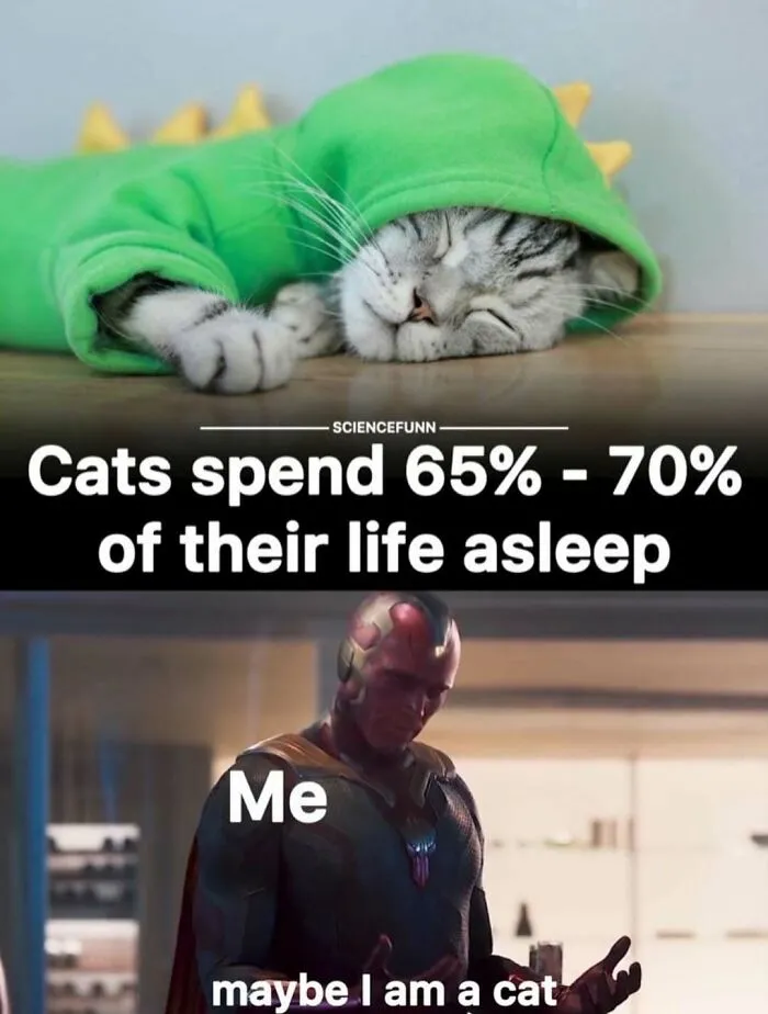 Sleeping cat in a green hoodie and meme referencing cats and fun science posts for science meme enjoyment.