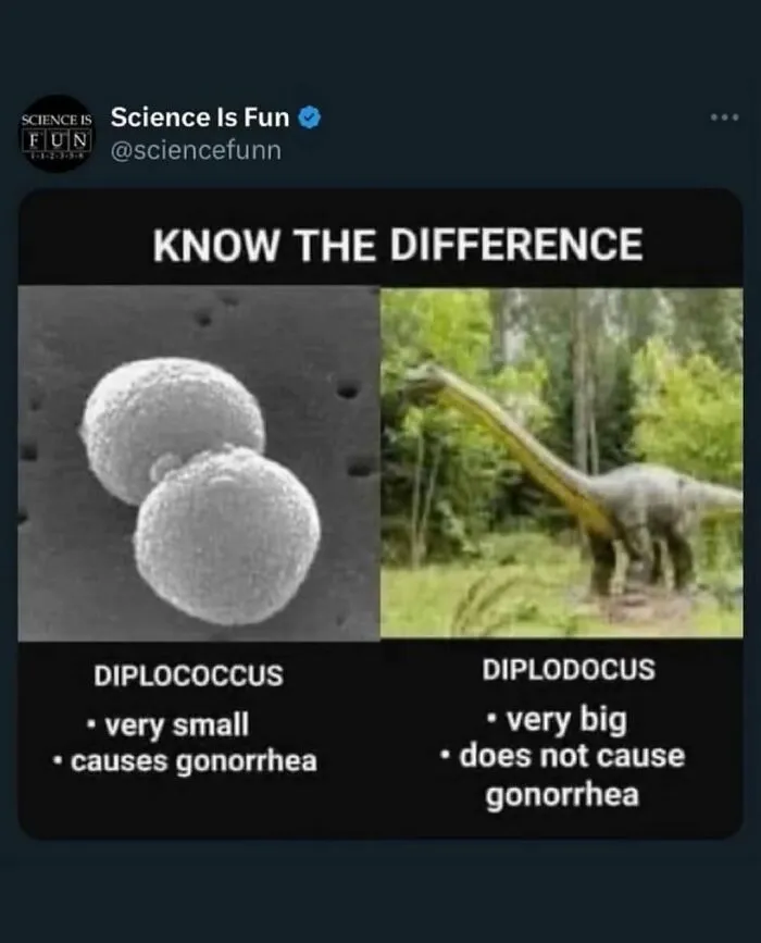 Science meme showing difference between diplococcus bacteria and diplodocus dinosaur with fun science facts.