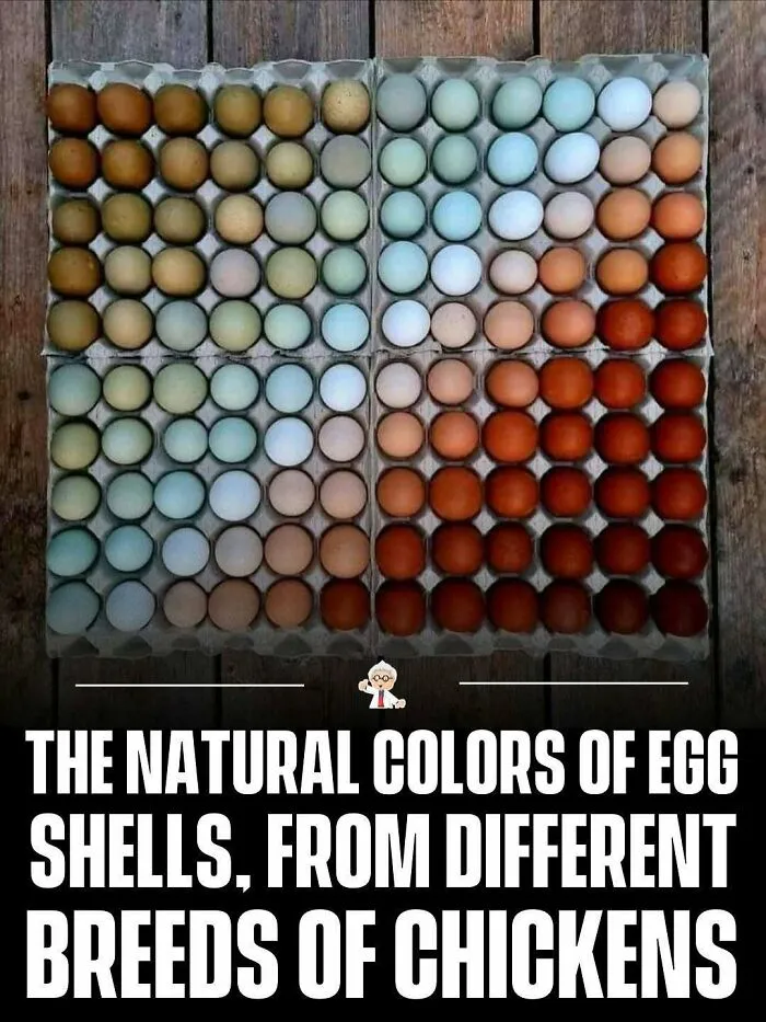 83 Cool Facts That Might Change How You See The World