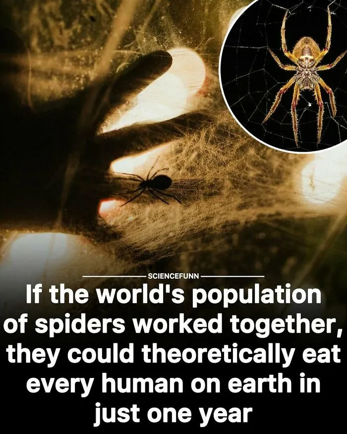 Funny-Interesting-Science-Memes-Posts-Sciencefunn