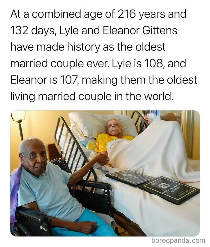 “Can’t Make This Up”: 79 Interesting Facts That Are Hard To Believe But Completely True (New Pics)