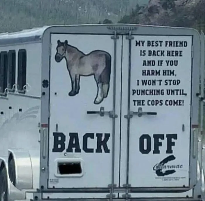 79 Cursed Photos That Make Absolutely Zero Sense But Live Rent‑Free In Our Brains