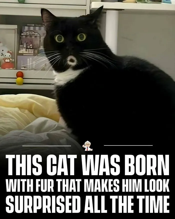83 Cool Facts That Might Change How You See The World