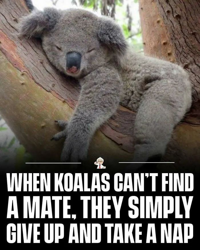 83 Cool Facts That Might Change How You See The World