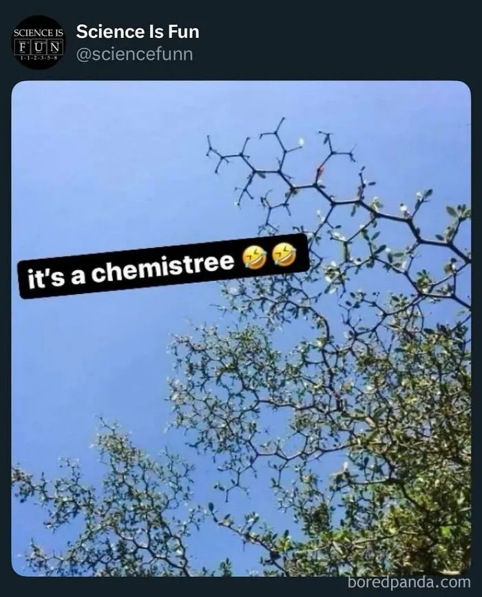 Tree branches against a clear blue sky resembling a chemical structure, representing science memes and fun science posts.