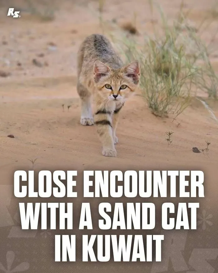 65 Rare And Extraordinary Photos Of Animals That Prove Nature Still Has Its Secrets