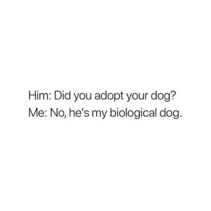 125 Amusing Posts From Across The Internet For Your Viewing Enjoyment