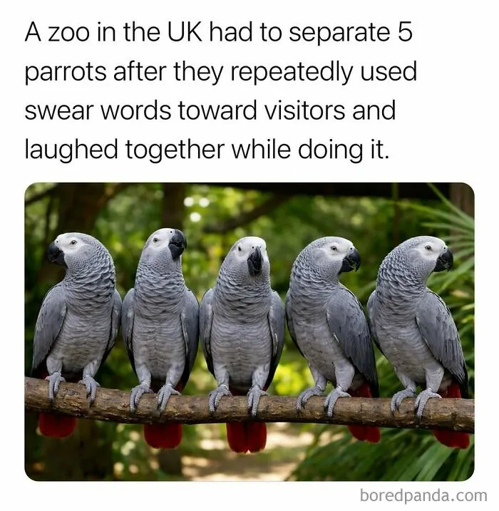 “Can’t Make This Up”: 79 Interesting Facts That Are Hard To Believe But Completely True (New Pics)