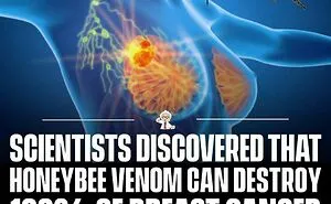 83 Cool Facts That Might Change How You See The World