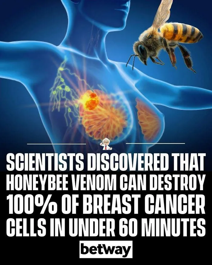 Interesting-World-Facts-Explainedfact
